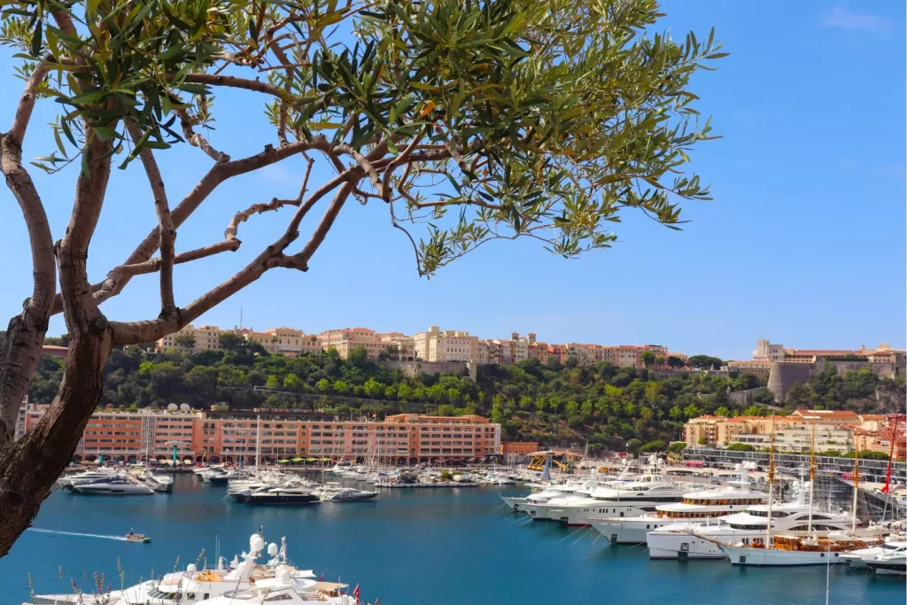 prix m2 monaco
